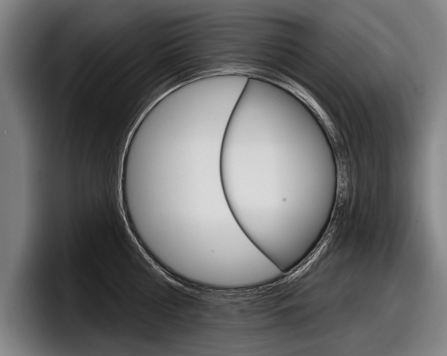 X0000098150810200804171155