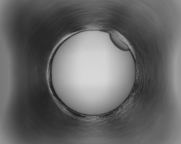 X0000098150811200804171155