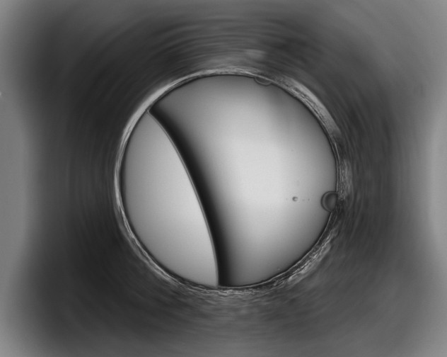 X0000098150812200804171155