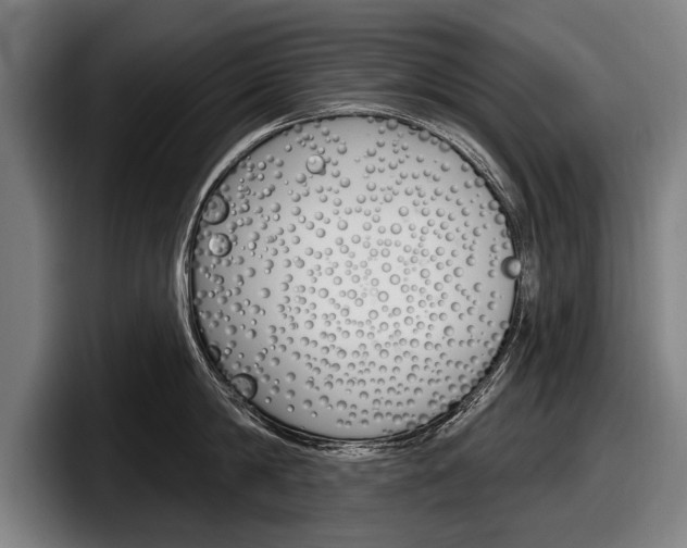 X0000098150814200804171155