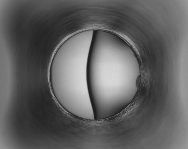 X0000098150815200804171155