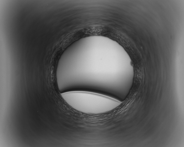 X0000098150818200804171154