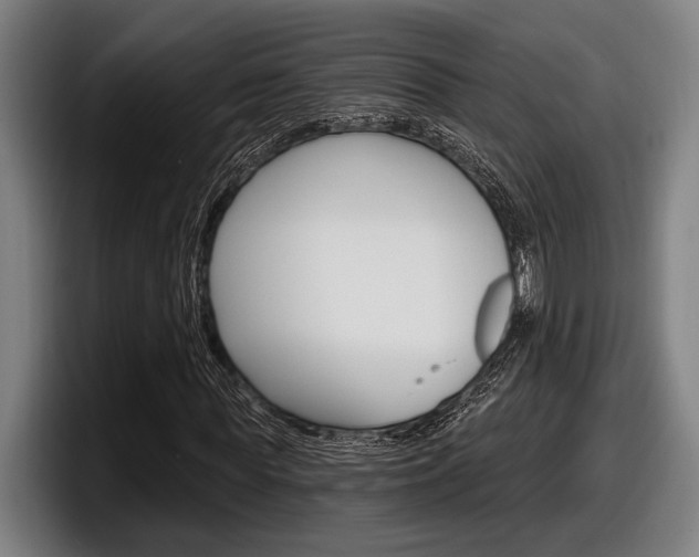 X0000098150819200804171154