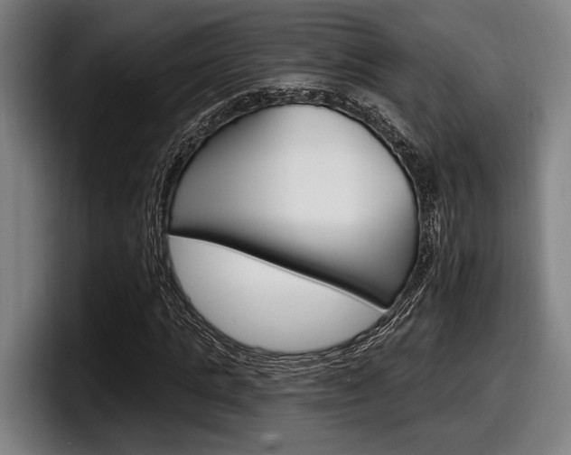 X0000098150821200804171154