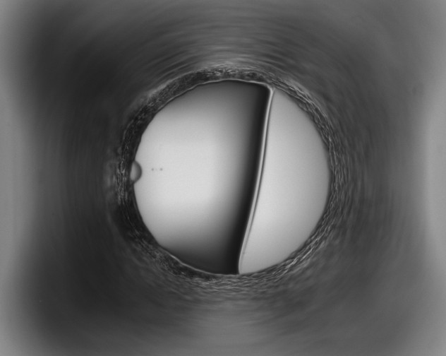 X0000098150822200804171155