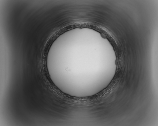 X0000098150823200804171155