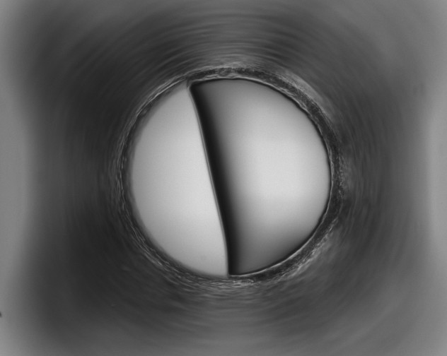 X0000098150826200804171155