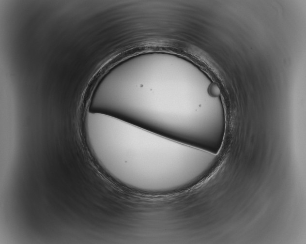X0000098150829200804171155