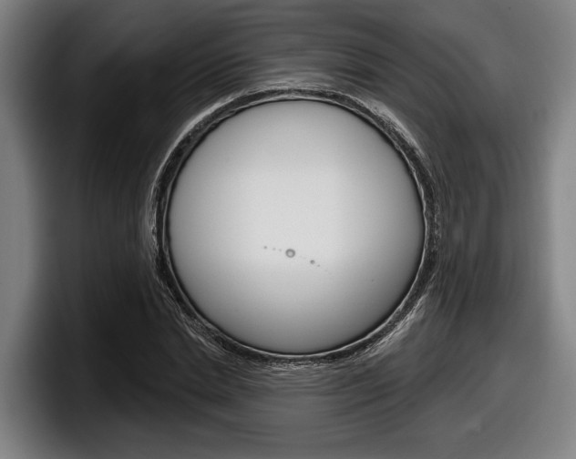 X0000098150830200804171155