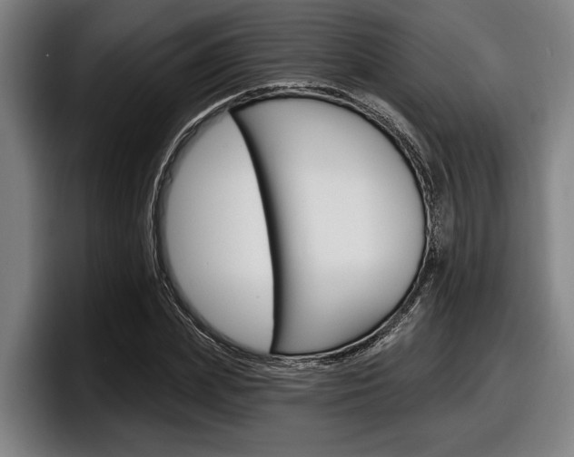 X0000098150831200804171155