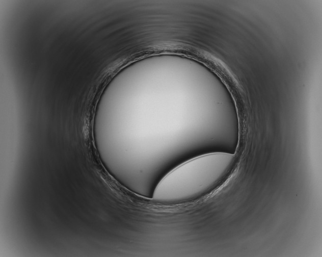 X0000098150833200804171155