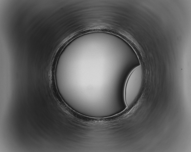 X0000098150834200804171155