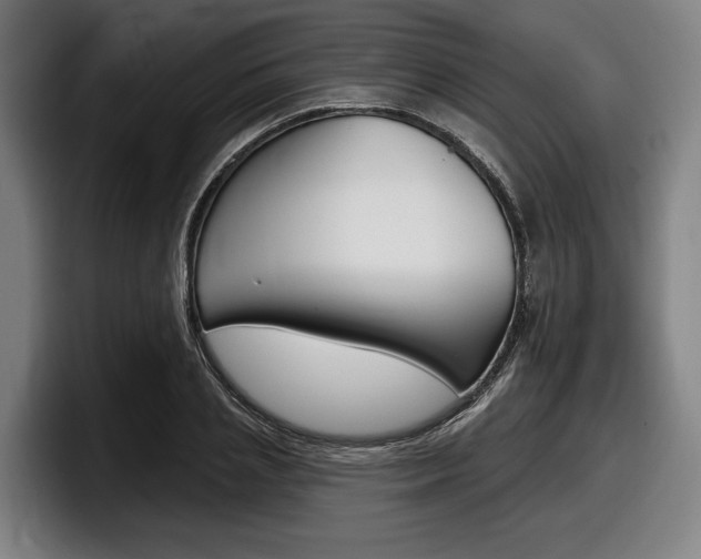 X0000098150837200804171155