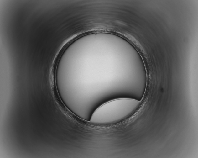 X0000098150838200804171155
