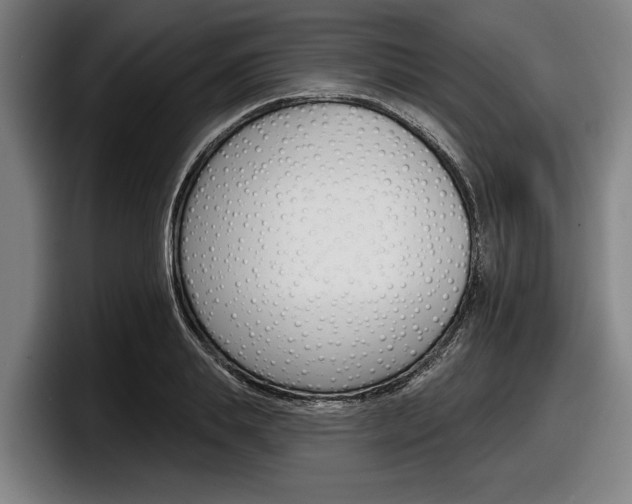 X0000098150839200804171155