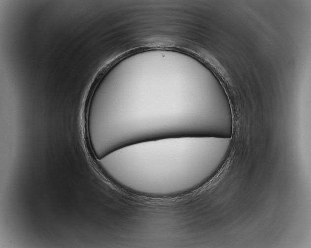 X0000098150840200804171155