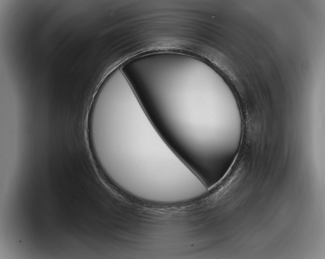 X0000098150842200804171155