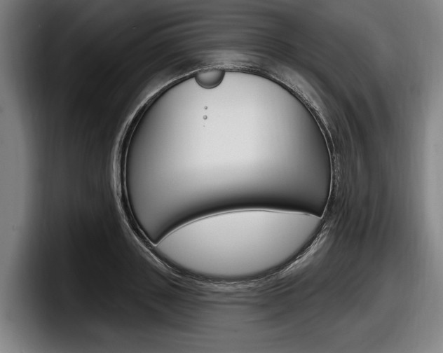 X0000098150843200804171155