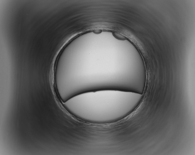 X0000098150844200804171155