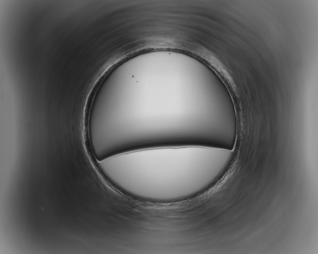 X0000098150845200804171155