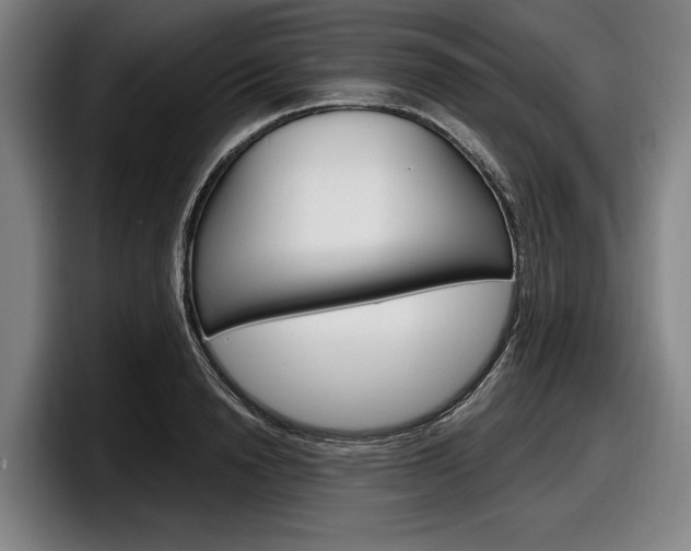 X0000098150846200804171155