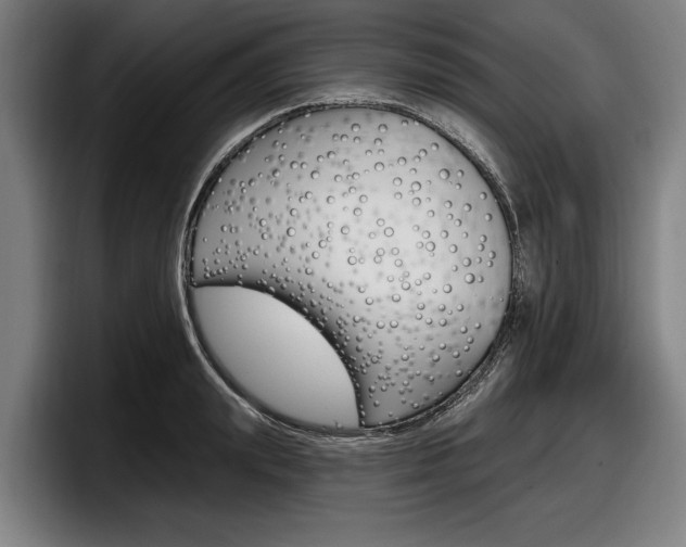 X0000098150847200804171155