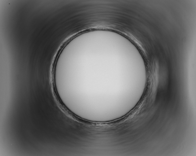 X0000098150848200804171155