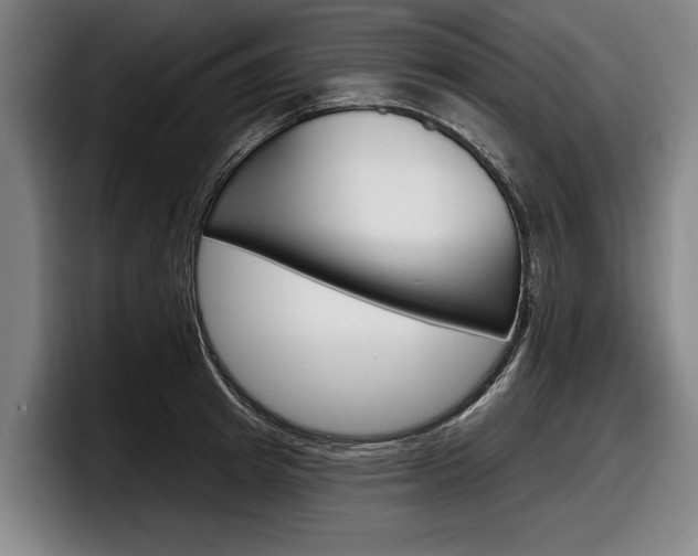 X0000098150849200804171155