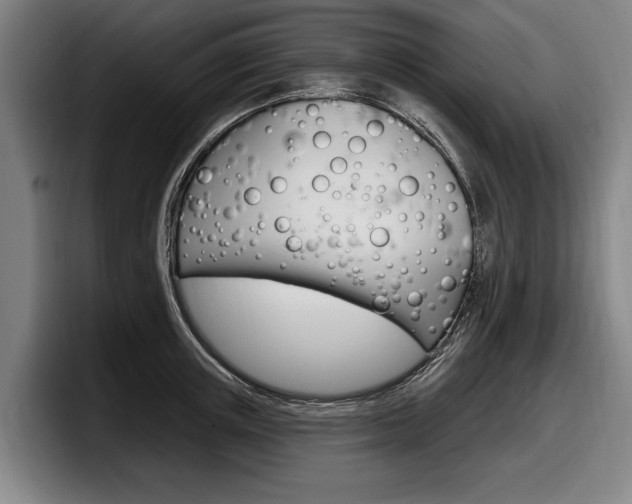 X0000098150851200804171155