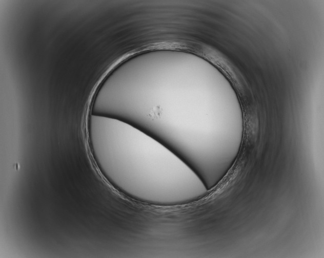 X0000098150852200804171155