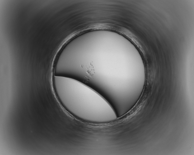X0000098150853200804171155