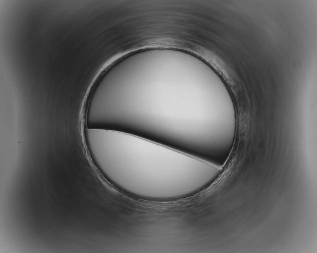 X0000098150854200804171155