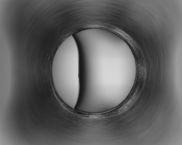 X0000098150857200804171155