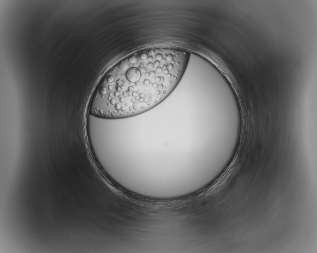 X0000098150858200804171155