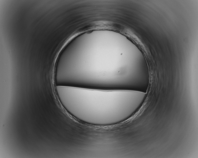 X0000098150860200804171155