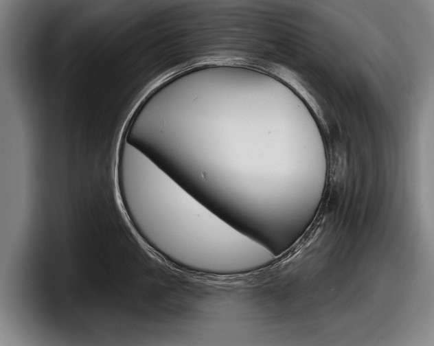 X0000098150861200804171155
