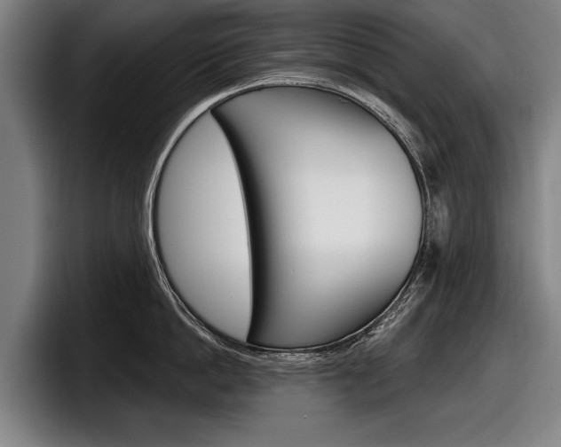 X0000098150862200804171155