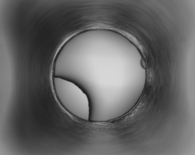 X0000098150863200804171155