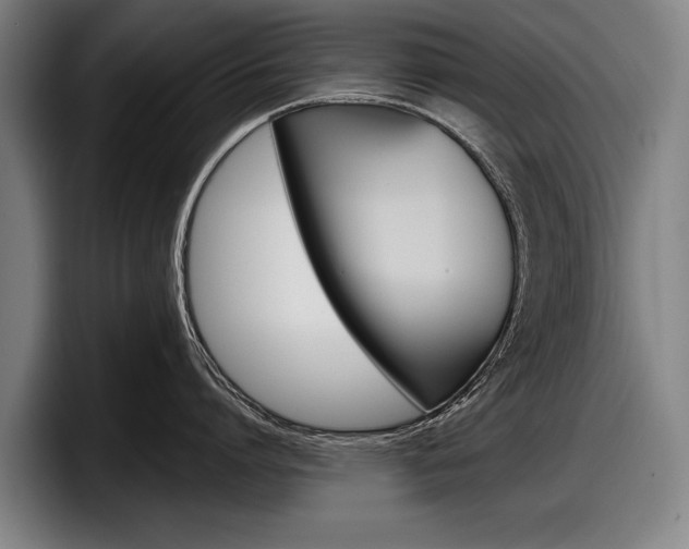 X0000098150864200804171155