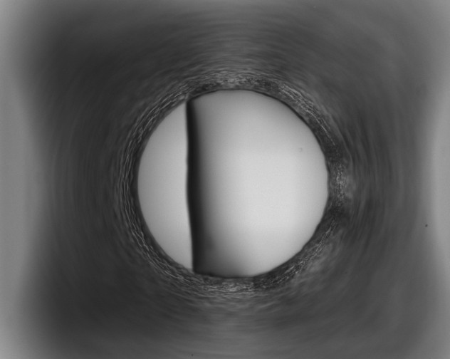 X0000098150865200804171154