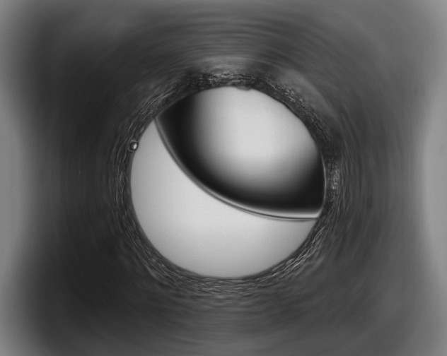 X0000098150868200804171154