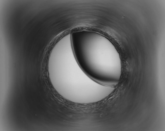 X0000098150872200804171154