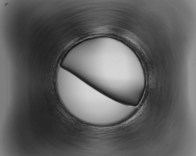 X0000098150873200804171154