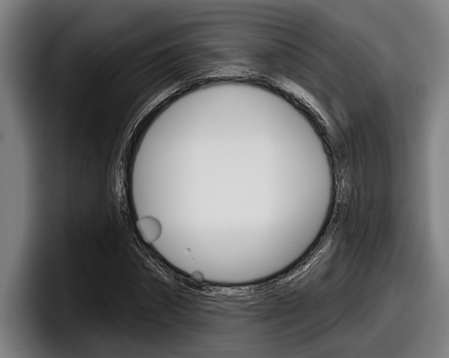 X0000098150874200804171154