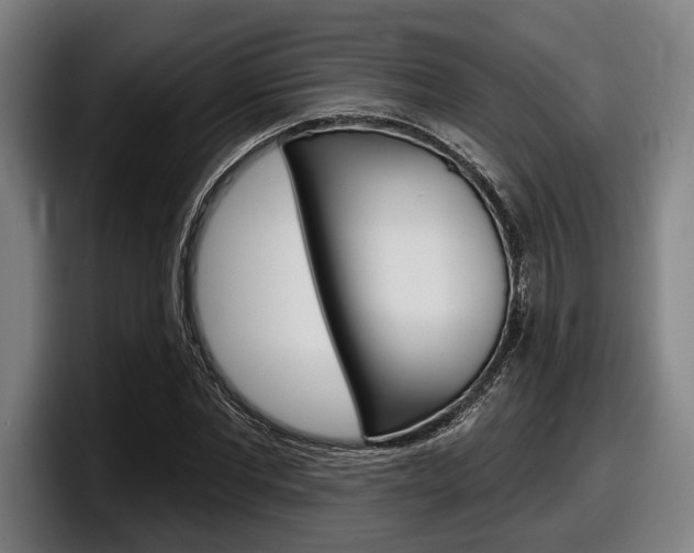 X0000098150877200804171154