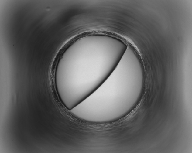 X0000098150879200804171154