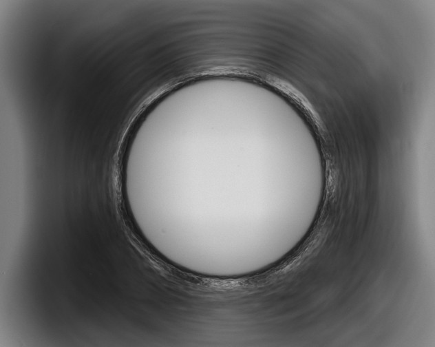 X0000098150882200804171154