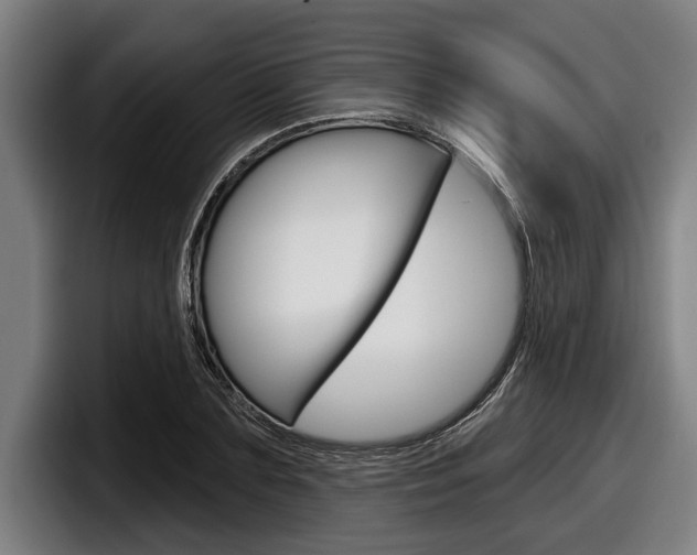X0000098150883200804171154