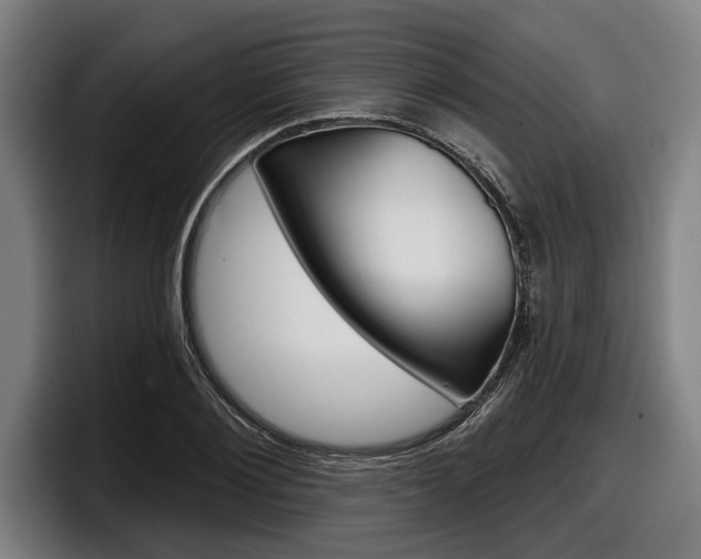 X0000098150884200804171154