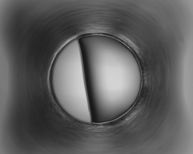 X0000098150885200804171154